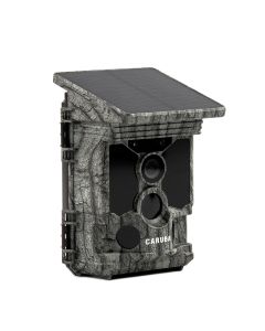Caruba Wildcamera Raccoon Solar 4K