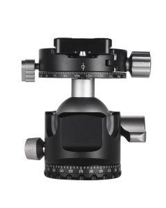 Caruba D-40 Balhoofd