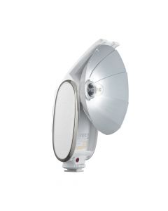 Godox Retro Lux Senior Flitser Grijs