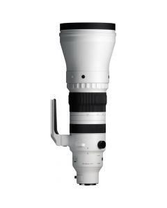 Sigma 300-600mm F4 DG OS Sports Sony FE-Mount